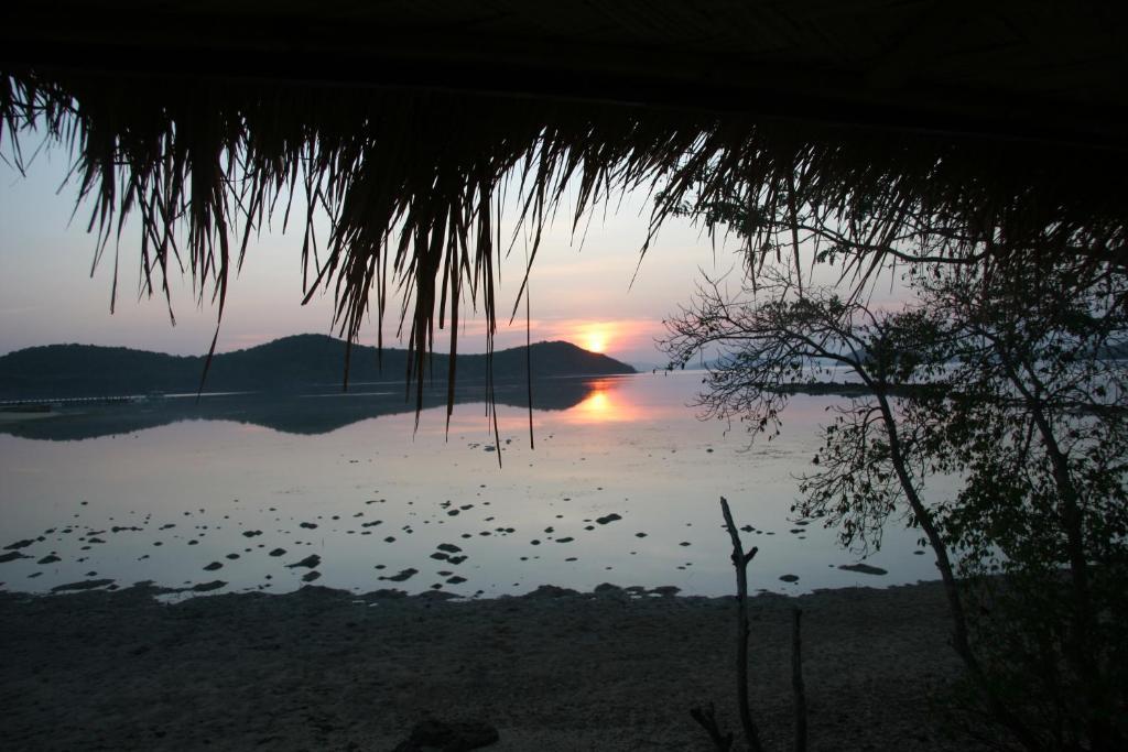 Coral Bay Beach And Dive Resort Busuanga Exterior foto