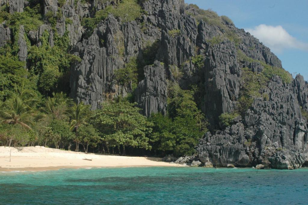 Coral Bay Beach And Dive Resort Busuanga Exterior foto